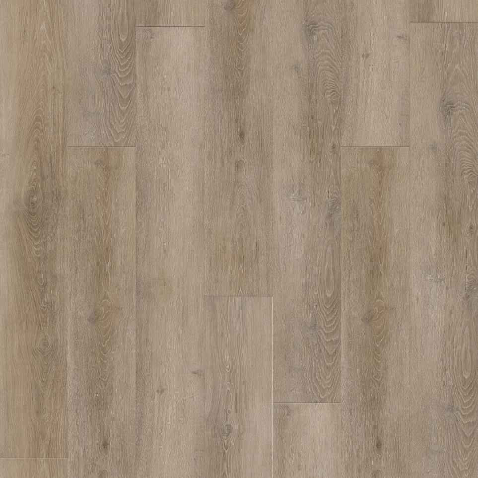 Ozark Plus Swatch