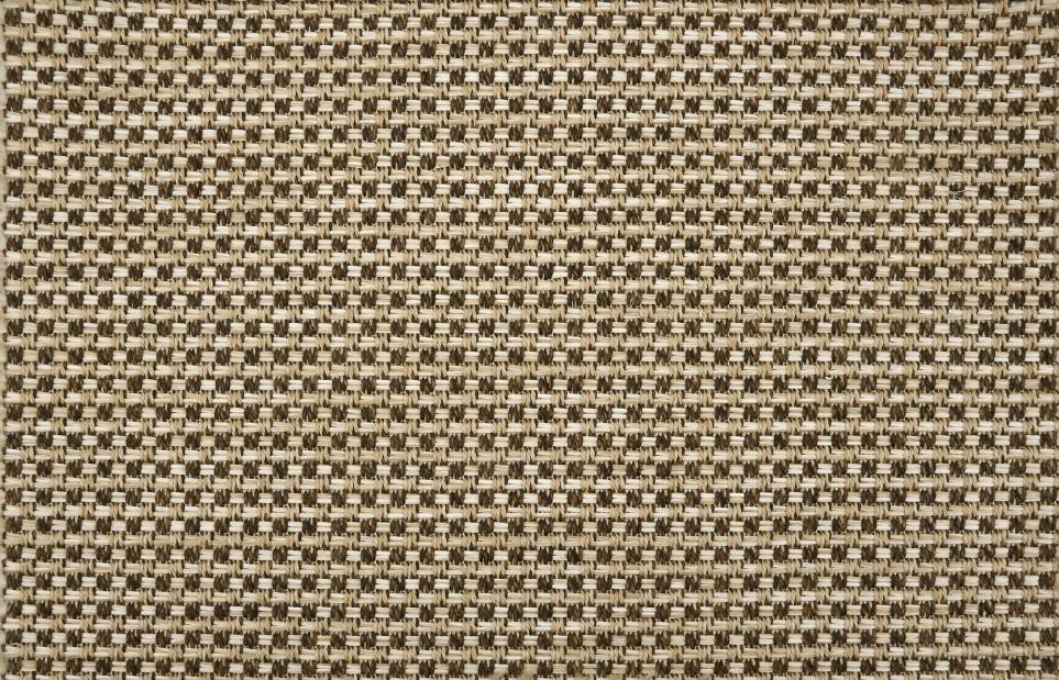 Palm Cove Swatch