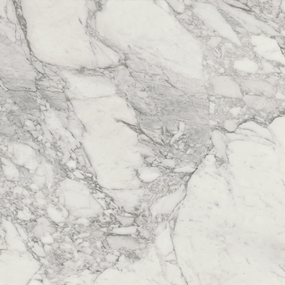 Marble Attache Lavish Rectangle 24X48 PL Swatch