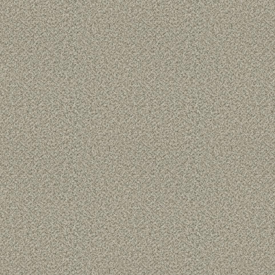 Patagonia II Swatch