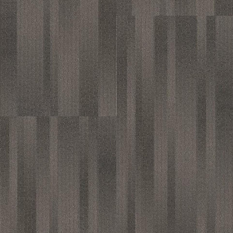 Spotlight TL Swatch