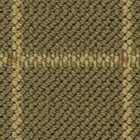 San Square Swatch