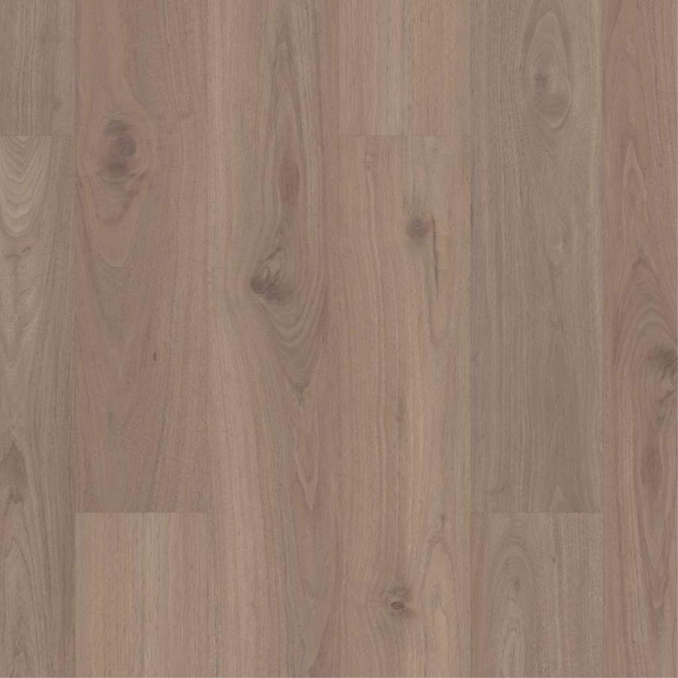 Ct Hd 7X60 Intg - B2 - Vv735 Swatch