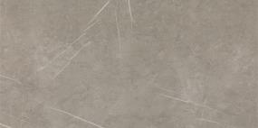 Platinum Rectangle 12X24 Gl Swatch