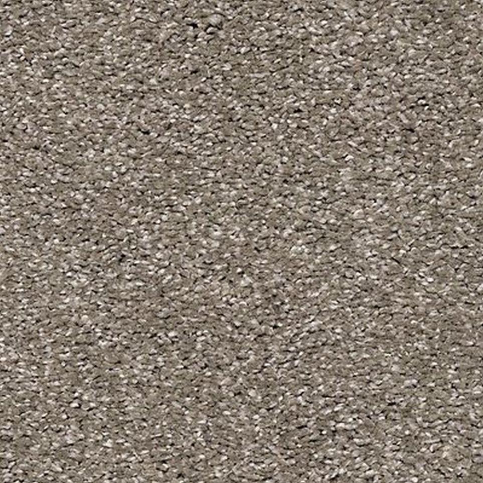 Luxurious Vision Swatch