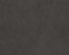 Claytone Matte 24X47 Swatch
