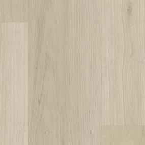 Evergen - Divine Swatch