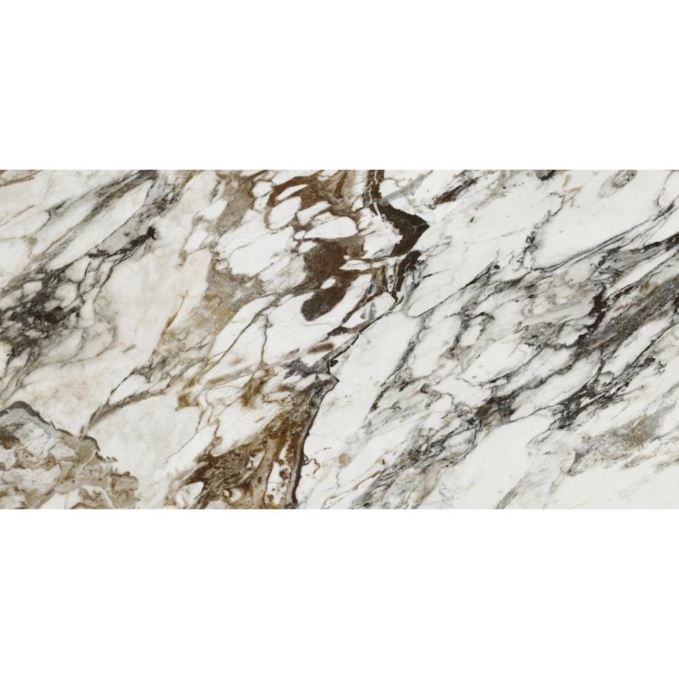 Parkview Rectified Polished 24X47 Swatch