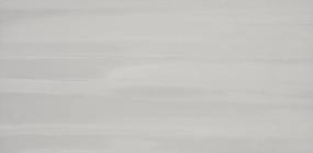 Silhouette Matte 12X24 Swatch