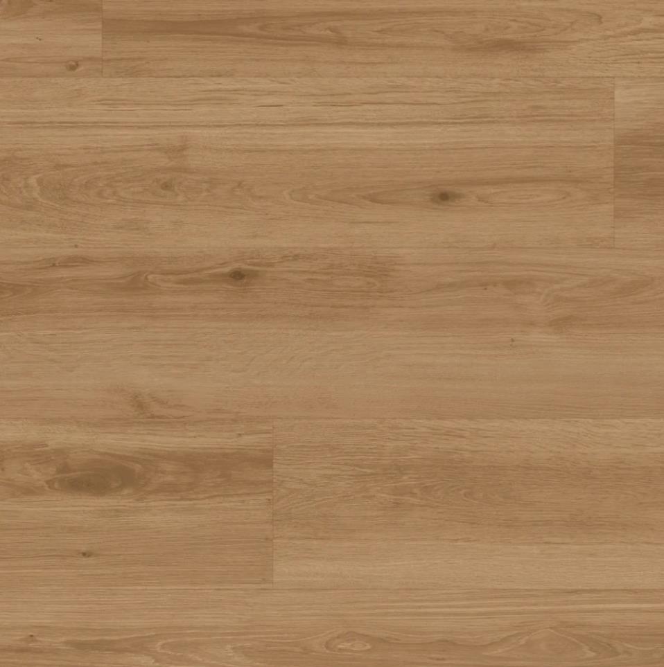 Quiet Plank Swatch