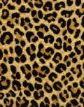 Angora Swatch