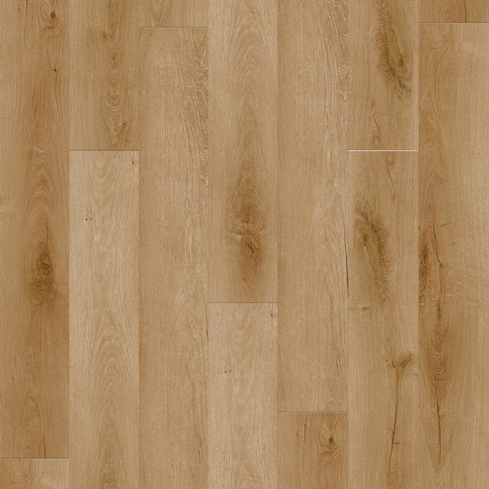 Ozark Plus Swatch