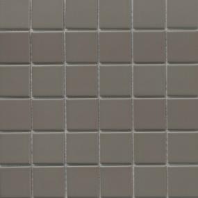 Catch Matte Mosaic 2X2 On 12X12 Swatch
