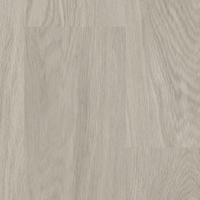 Progen - Sequoia Xxl Swatch