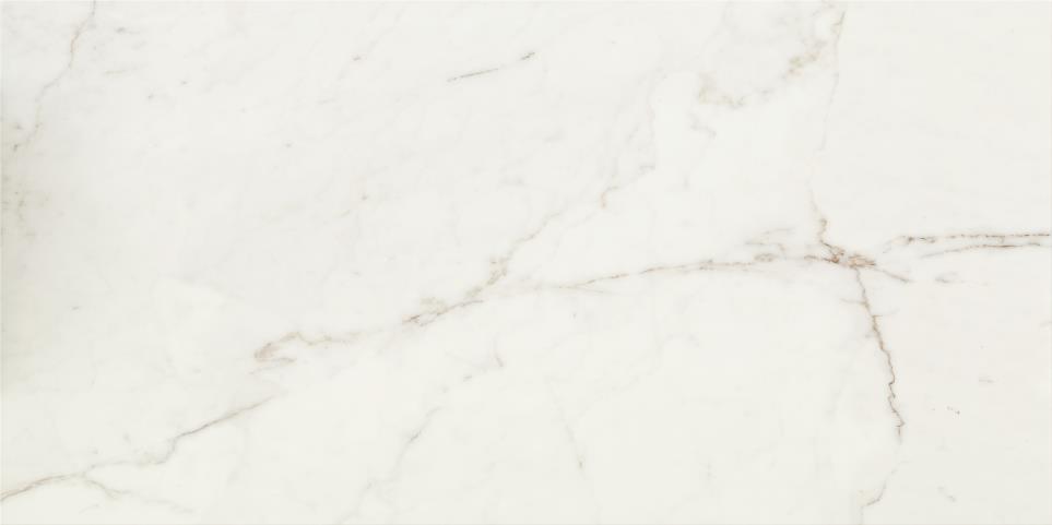 Classentino Marble Rectangle 24X48 Pl Swatch