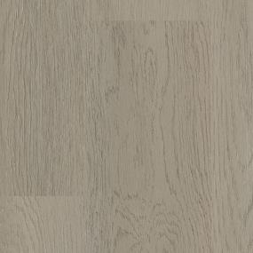 Progen - Elmore Xl Swatch