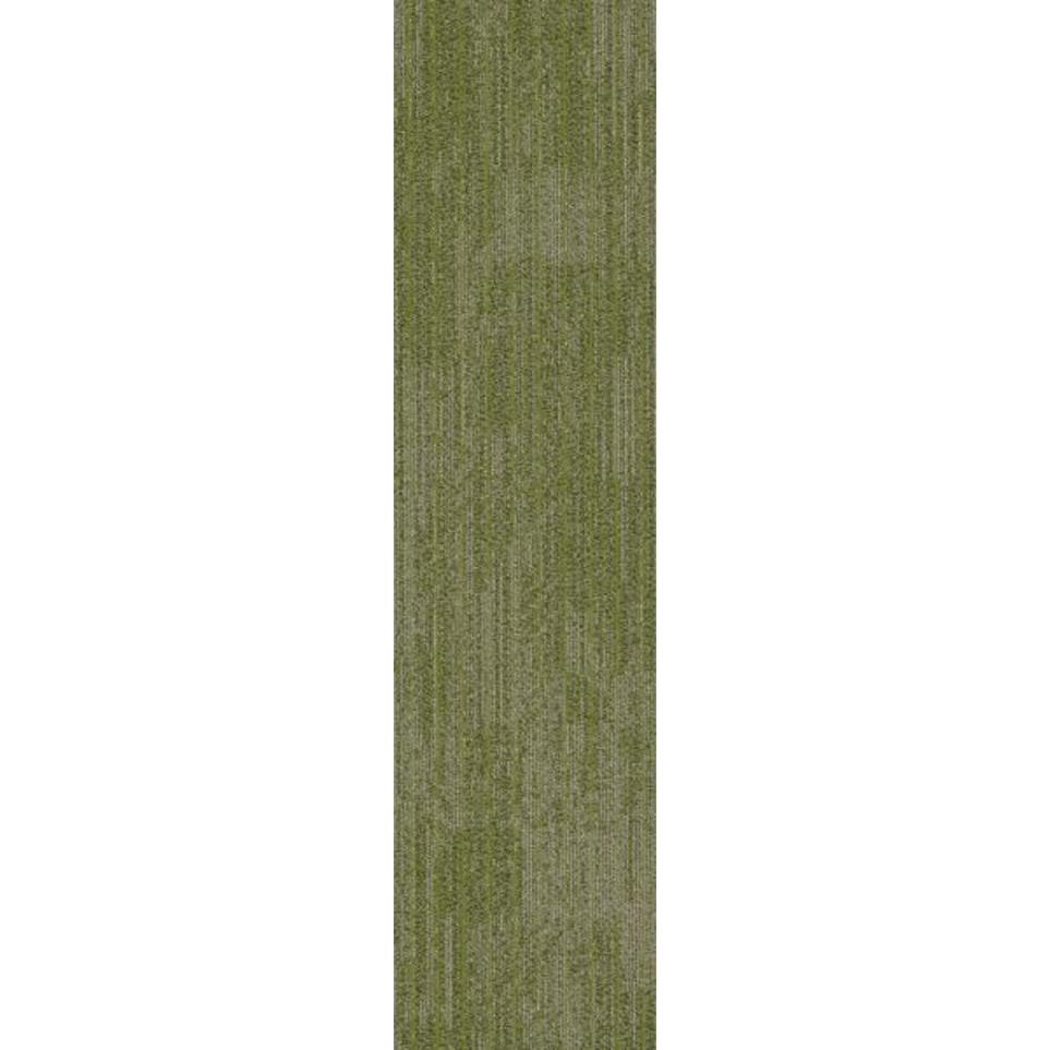 Tempo TL Swatch