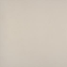 Citizen Matte 24X24 Swatch