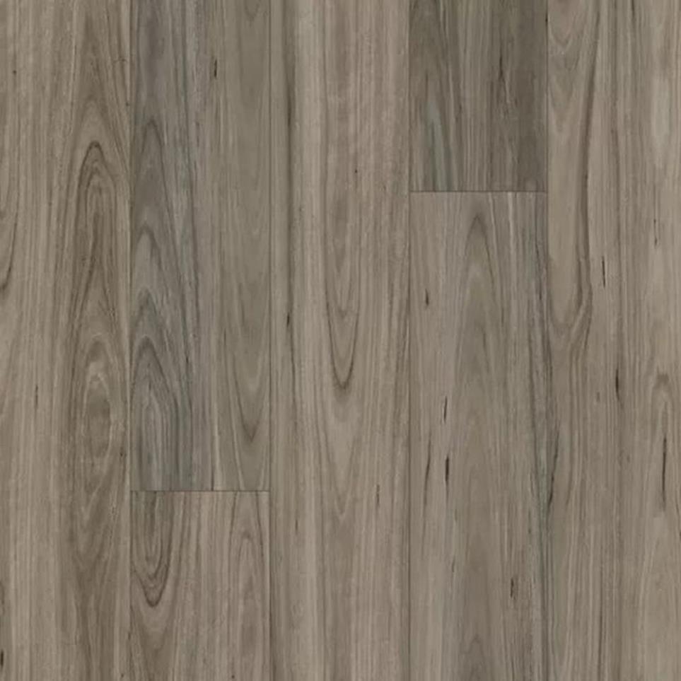Treasured Grove - 7x60 Swatch