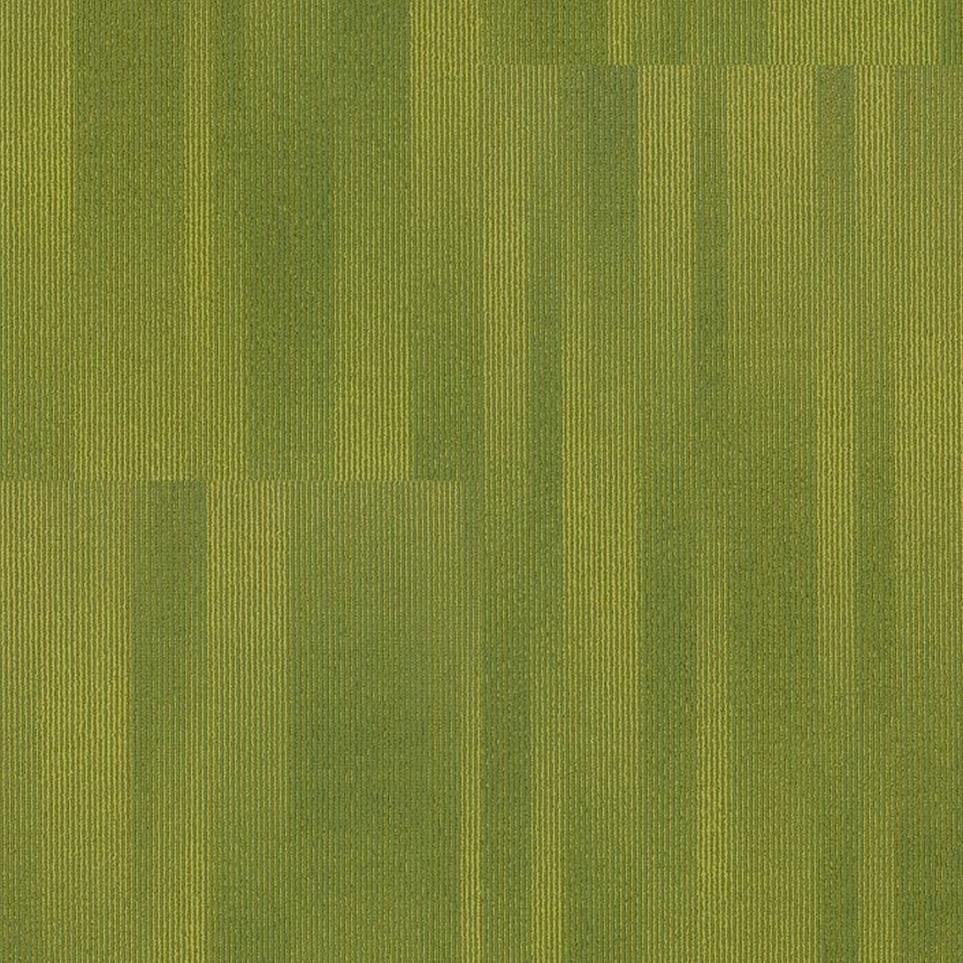 Spotlight TL Swatch