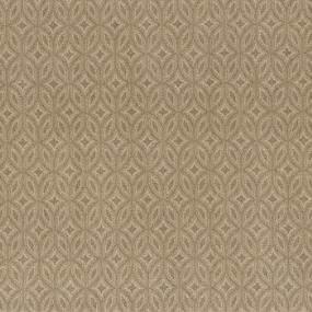 Enlightened Swatch