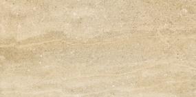 Potenza Matte 12X24 Swatch