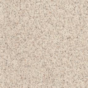 Husky Swatch