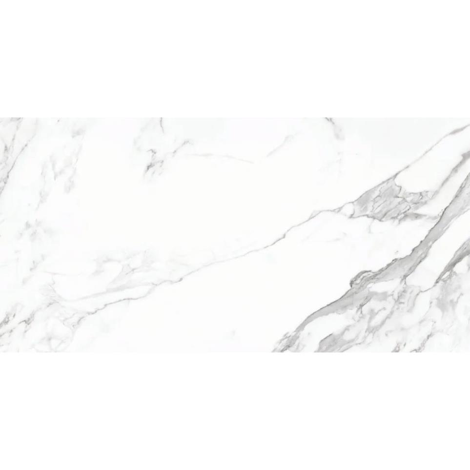 Eternal Matte 24X48 Swatch