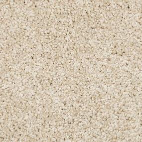 Renovate II Swatch