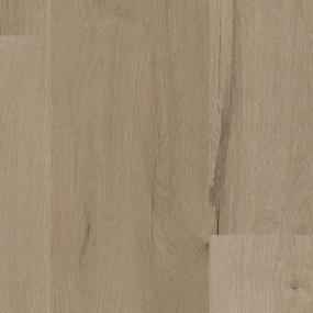 Progen - Kensington Xl Swatch