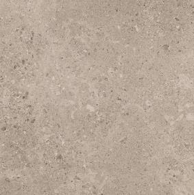 Dignitary Rectangle 12X24 Lp Swatch