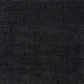 Sheer Luxury Swatch