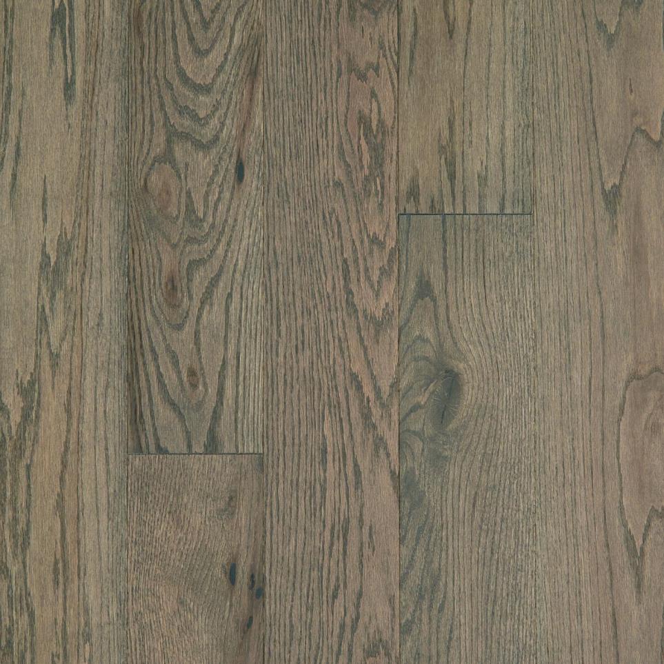 Sanctuary Oak Swatch