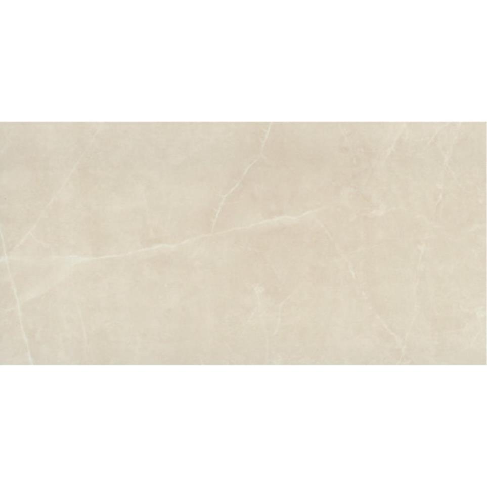 Sterlina II Matte 12X24 Swatch