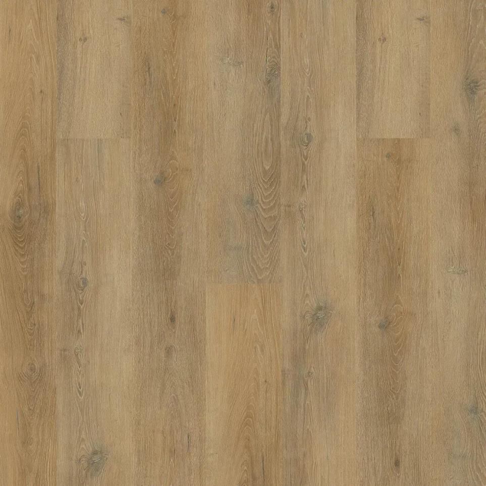 New Standard Plus Swatch