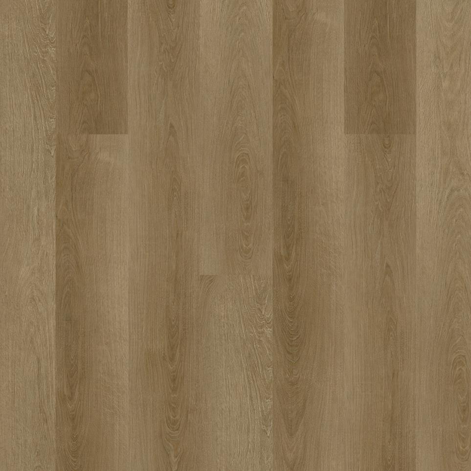 New Standard Plus Swatch