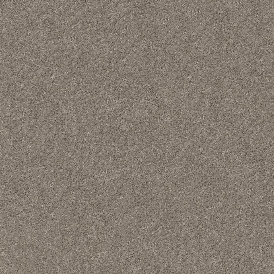 Cavalier Swatch