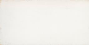 Cogent Matte 16X31 Swatch