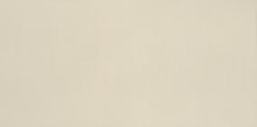Neoconcrete Rectangle 12X24 Lp Swatch