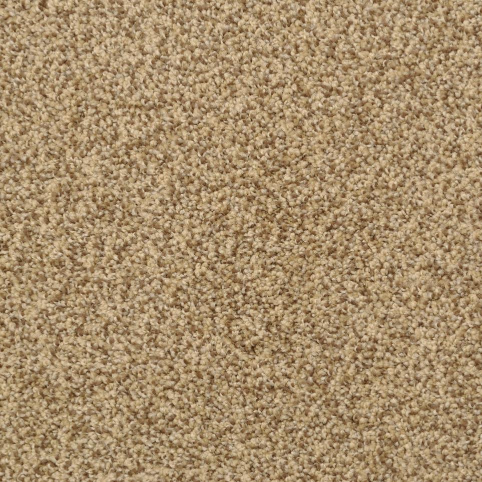 Cozy Swatch