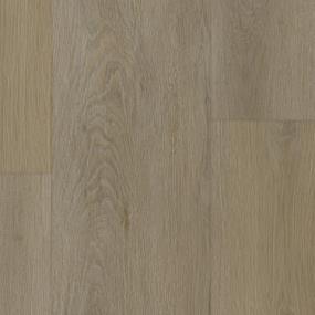 Evergen - Essence Swatch