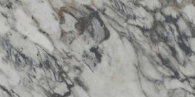 Parkview Polished Rectified 12X24 Swatch