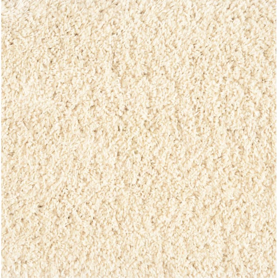 Shaggy Plush Swatch