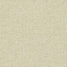 Washington Square Swatch