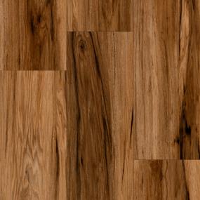 Progen - Spicebark Hickory Swatch