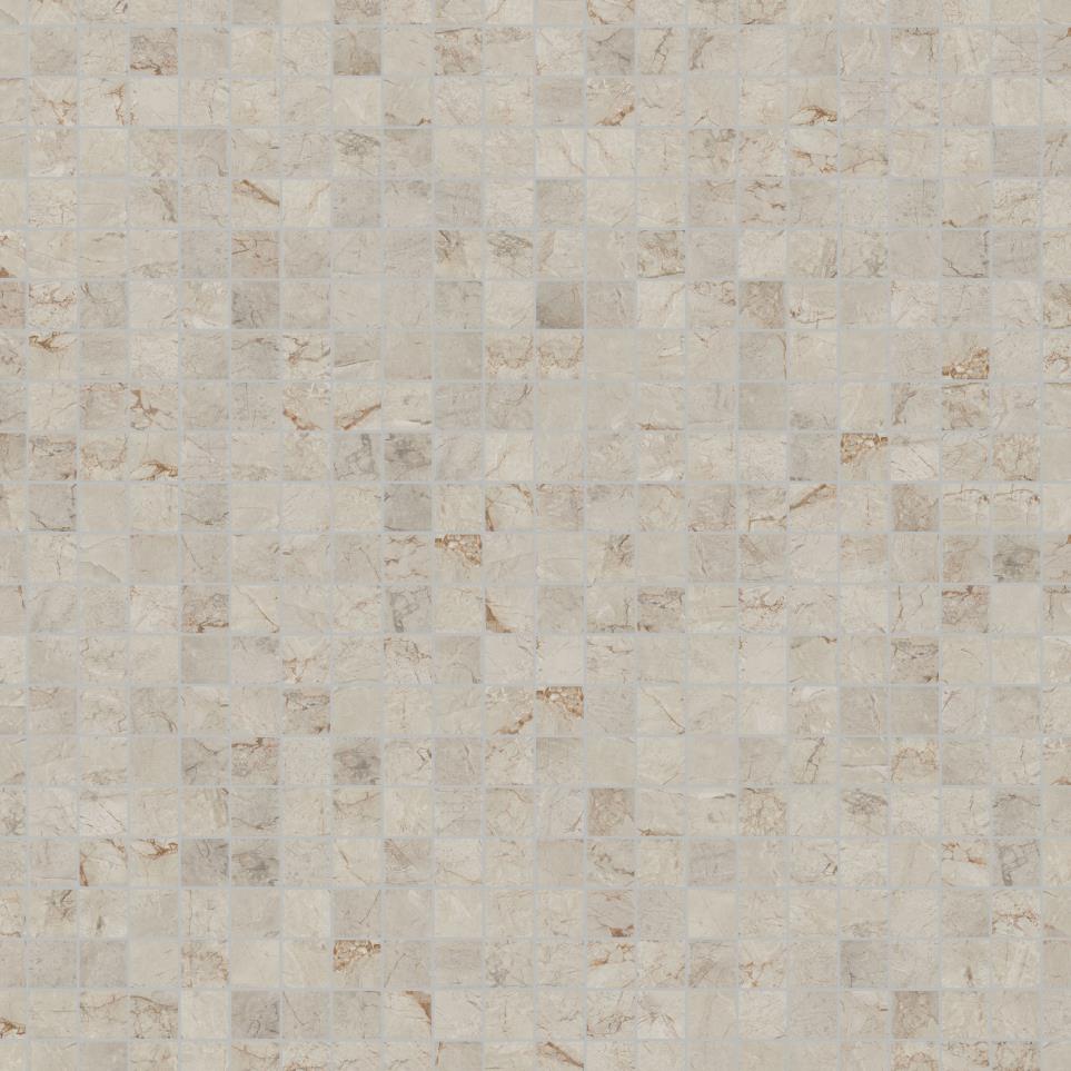 Platinum Straight Joint 2X2 Dm 12X24 MT Swatch