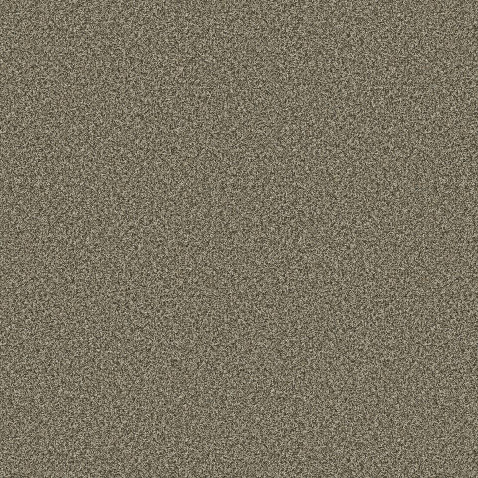 Patagonia I Swatch