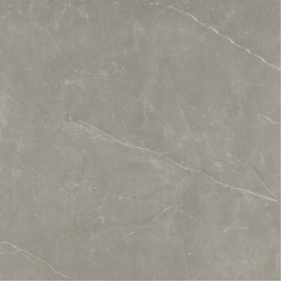 Sterlina II Matte 24X24 Swatch