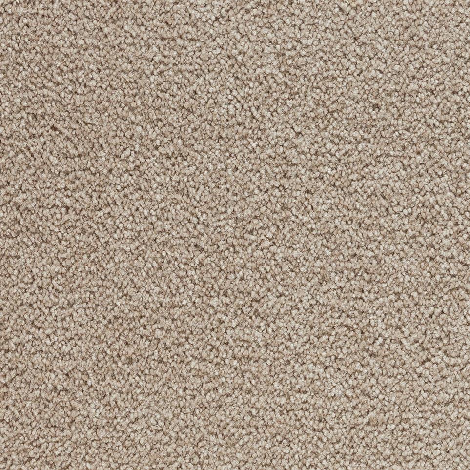 Sandhill Swatch