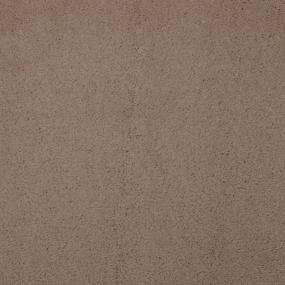 Vicuna Swatch Thumbnail